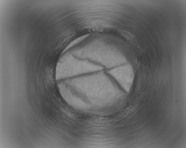 X0000056341060200509232033