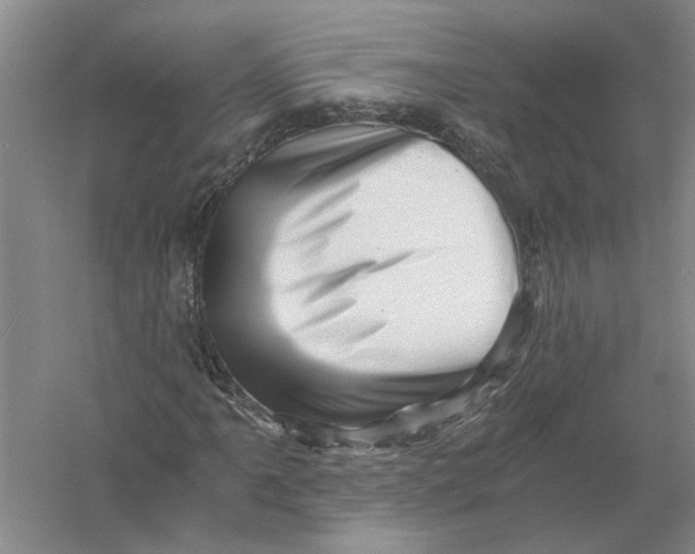 X0000056341061200509232033