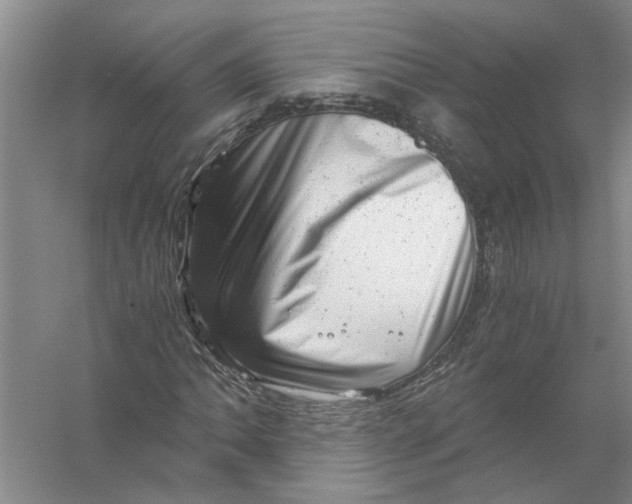X0000056341062200509232033