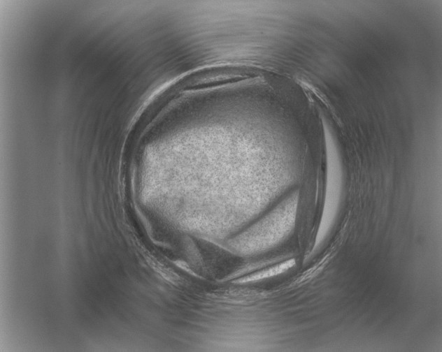 X0000056341077200509232033