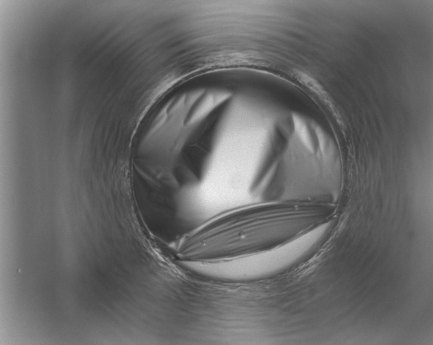 X0000056341089200509232033