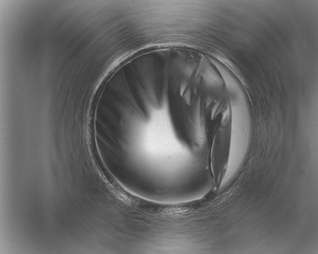 X0000056341093200509232033