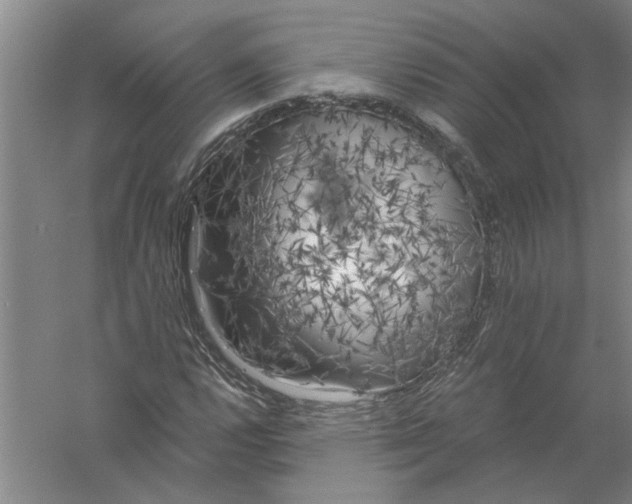X0000056341112200509232032