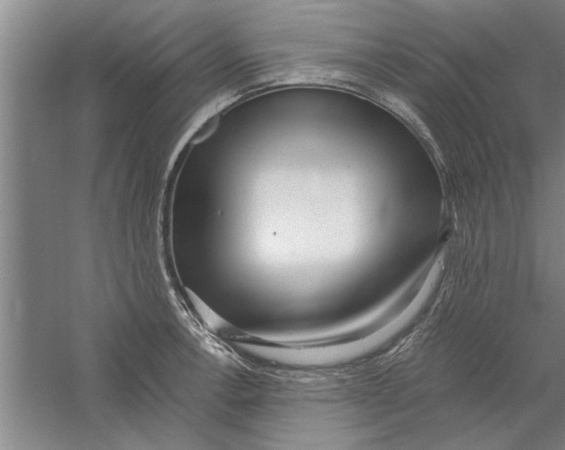 X0000056341138200509232032