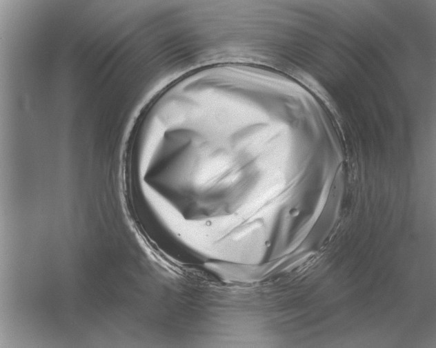 X0000056341144200509232032