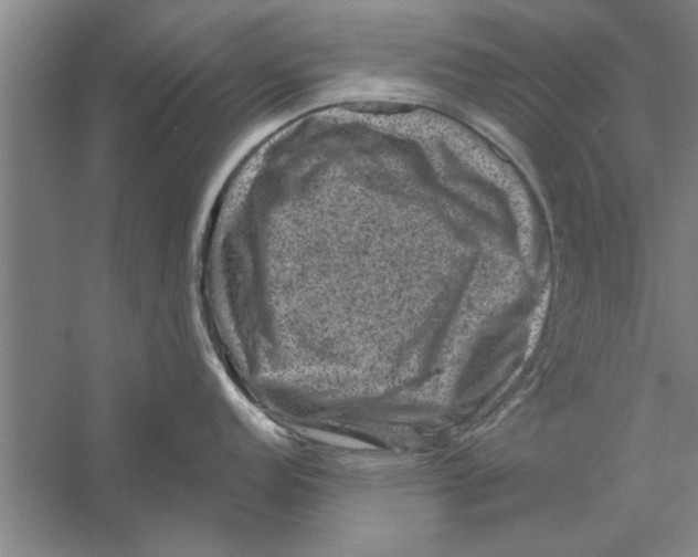 X0000056341152200509232032