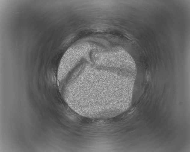 X0000056341155200509232031