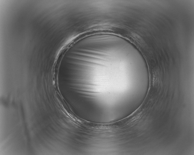 X0000056341164200509232031