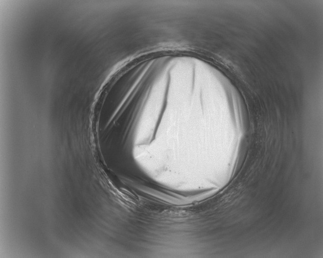 X0000056341168200509232031