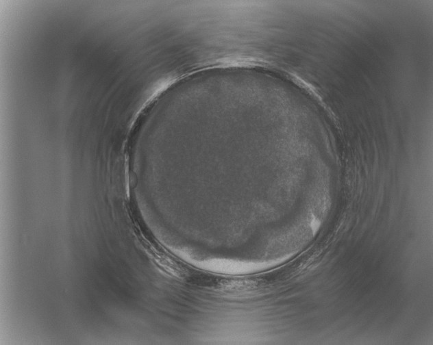 X0000056341171200509232031