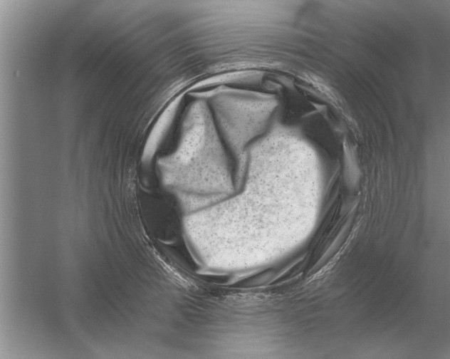 X0000056341185200509232031
