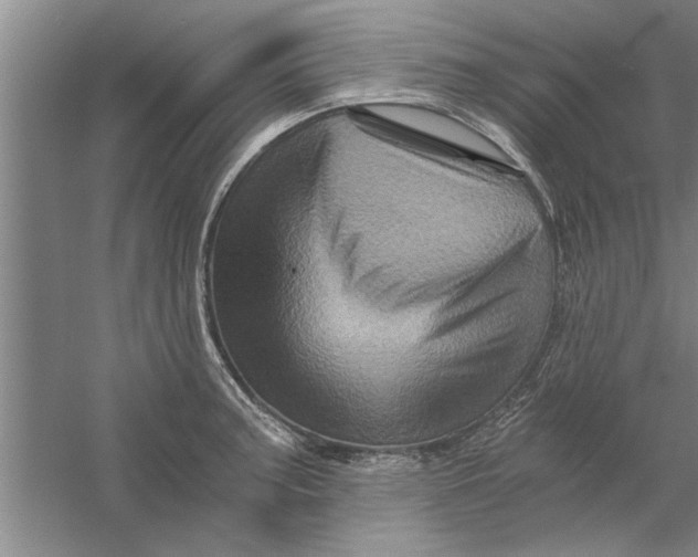 X0000056341187200509232031