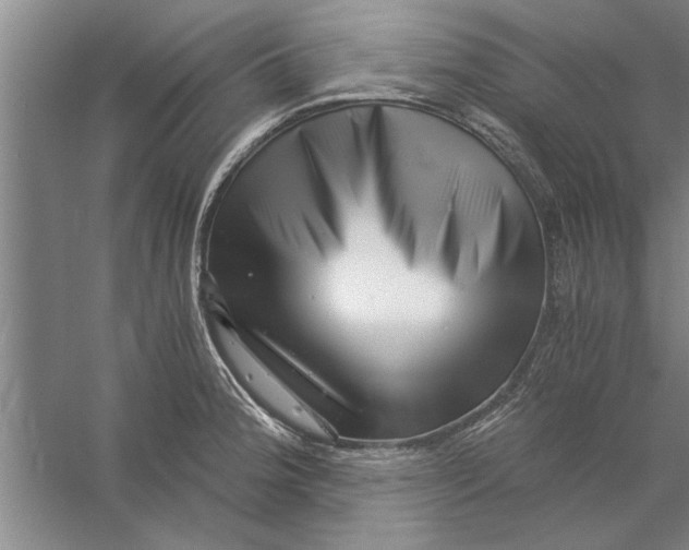 X0000056341188200509232031