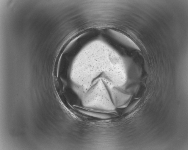 X0000056341189200509232031