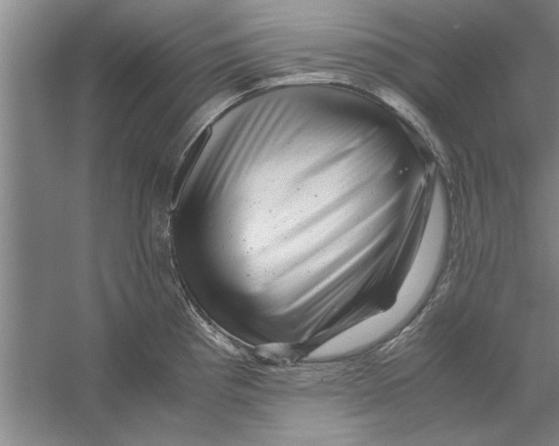 X0000056341193200509232031