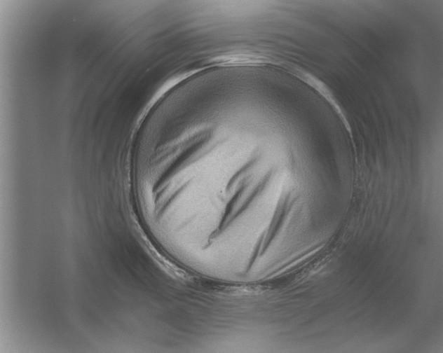 X0000056341195200509232031