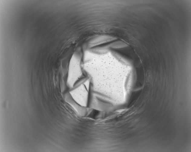X0000056341202200509232030