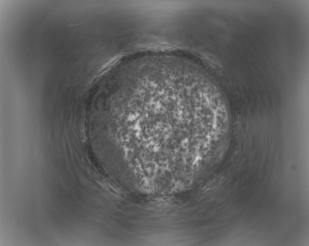 X0000056341205200509232030