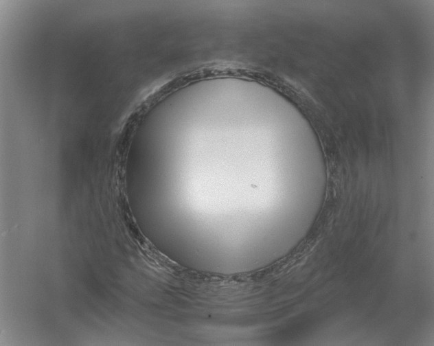 X0000056341207200509232030