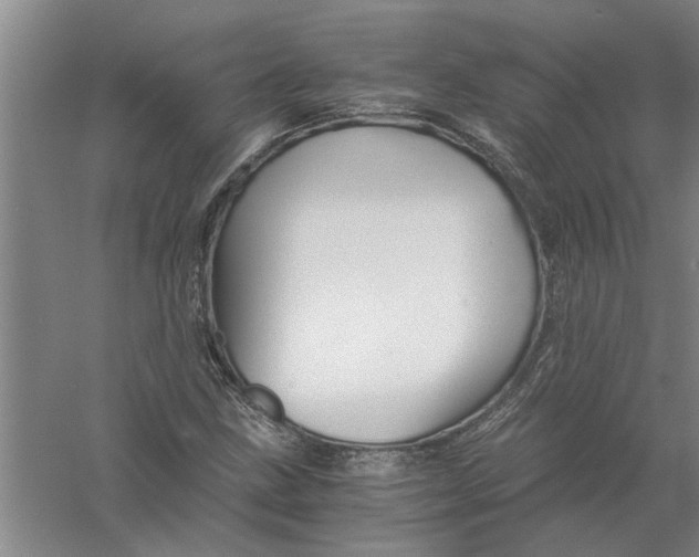 X0000056341211200509232030