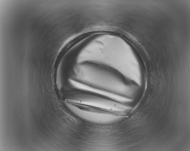 X0000056341222200509232030