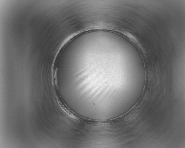X0000056341238200509232031