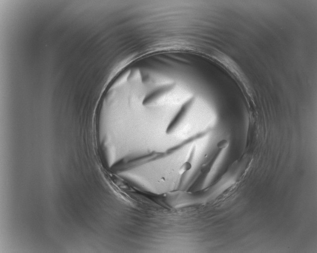 X0000056341242200509232031