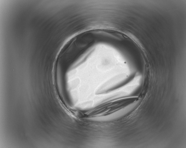 X0000056341246200509232031