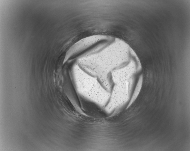 X0000056341250200509232030