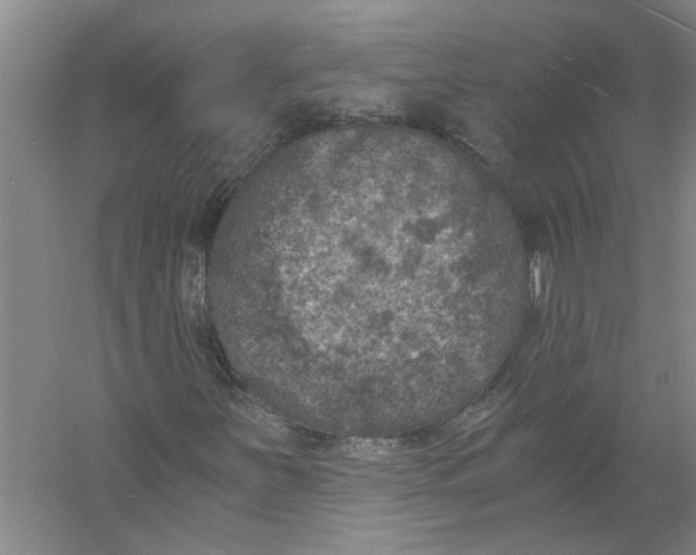X0000056341251200509232030