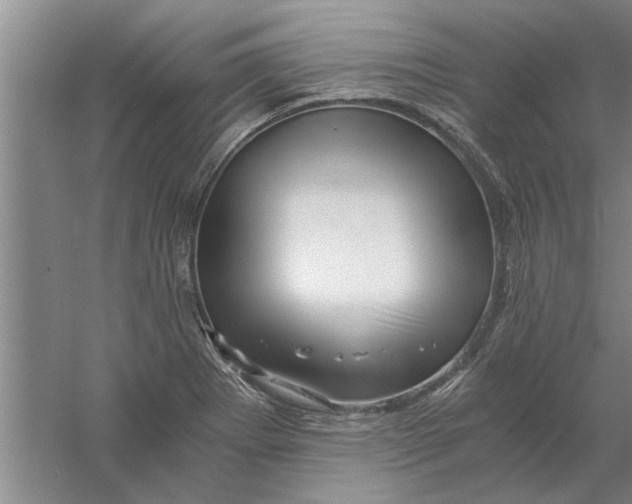 X0000056341273200509232029