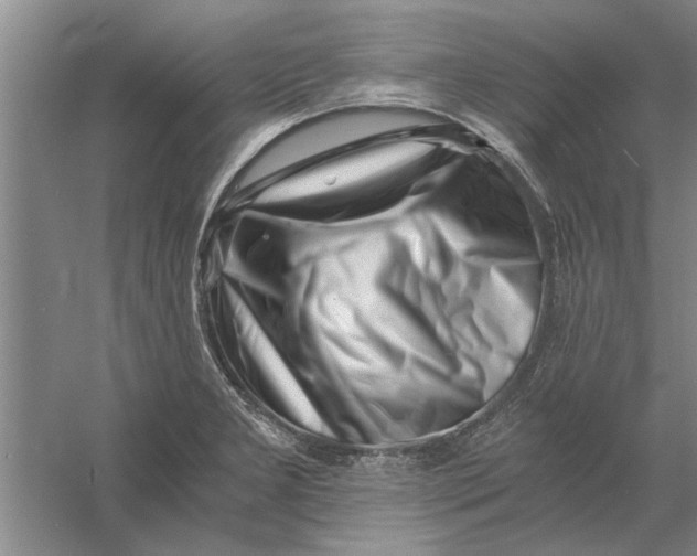 X0000056341277200509232029