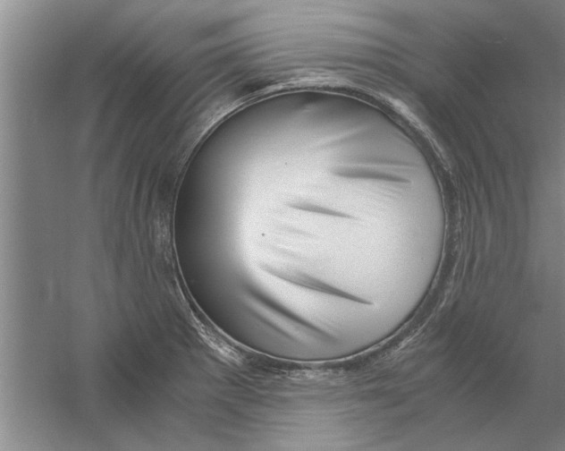 X0000056341281200509232029