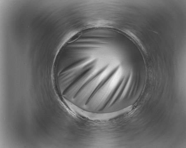 X0000056341285200509232029