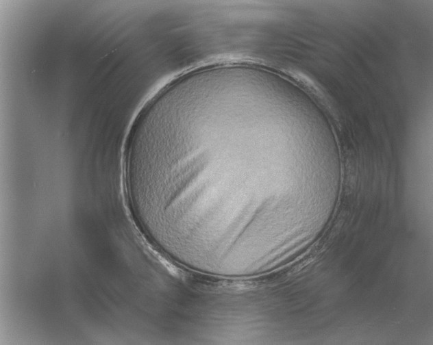 X0000056341286200509232029