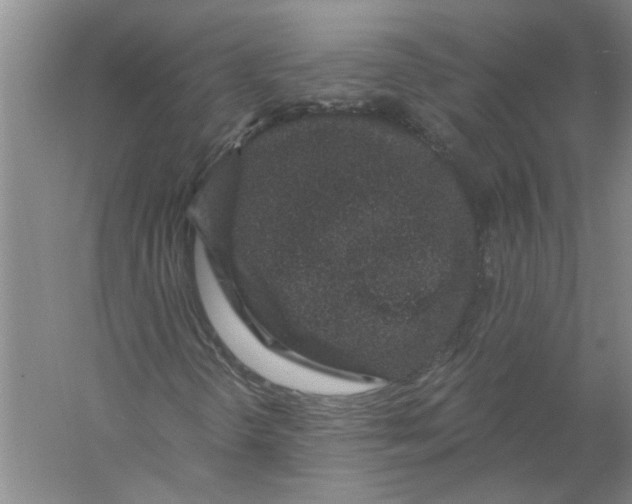X0000056341298200509232028