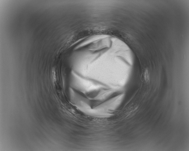 X0000056341299200509232028