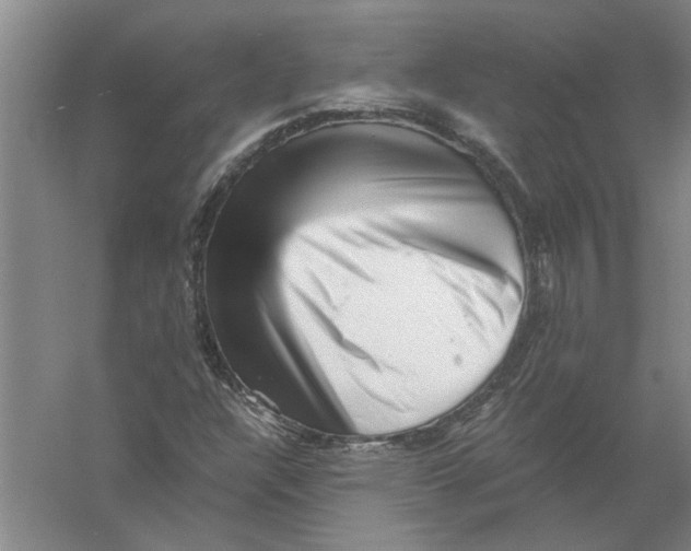 X0000056341304200509232028