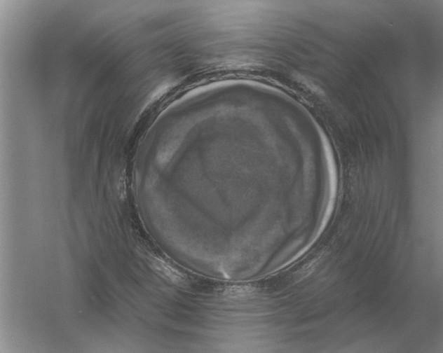 X0000056341306200509232028