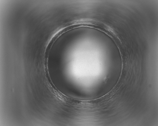 X0000056341312200509232029