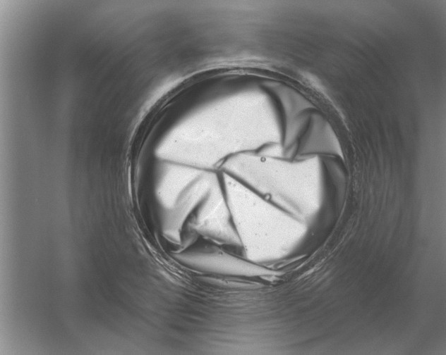 X0000056341320200509232029