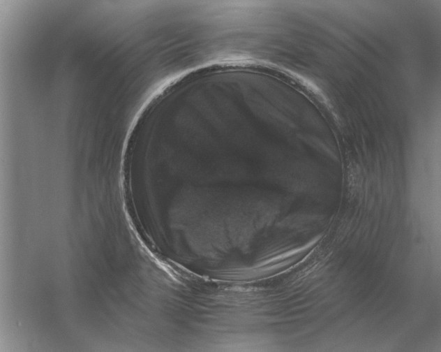 X0000056341327200509232029