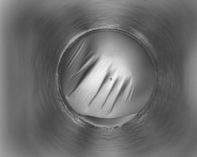 X0000056341332200509232029