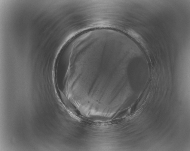 X0000056341334200509232029