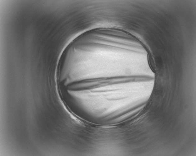 X0000056341343200509232029