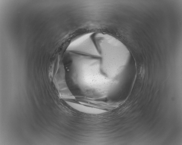 X0000056341348200509232028