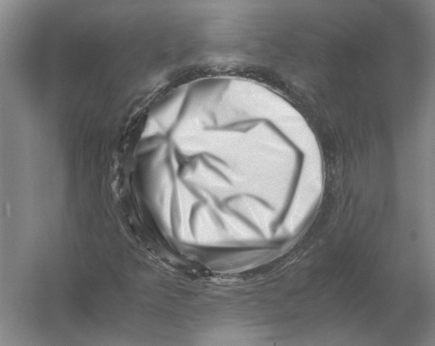X0000056341349200509232028