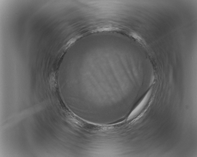 X0000056341353200509232028