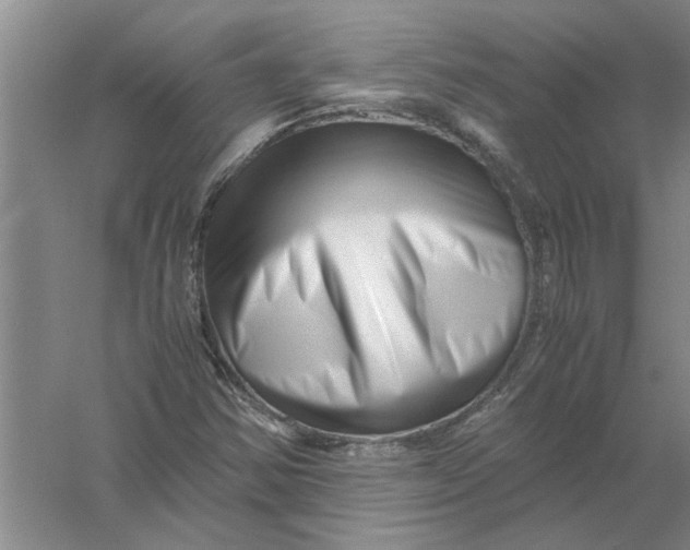 X0000056341354200509232028