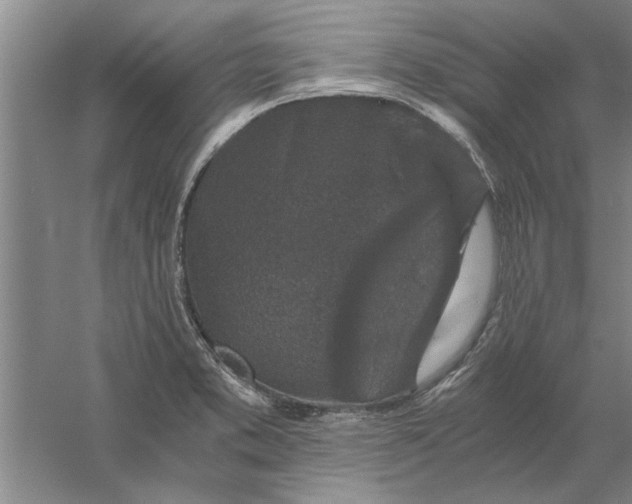 X0000056341373200509232028